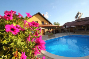 Гостиница Guest House Vila Alexandar  Палич